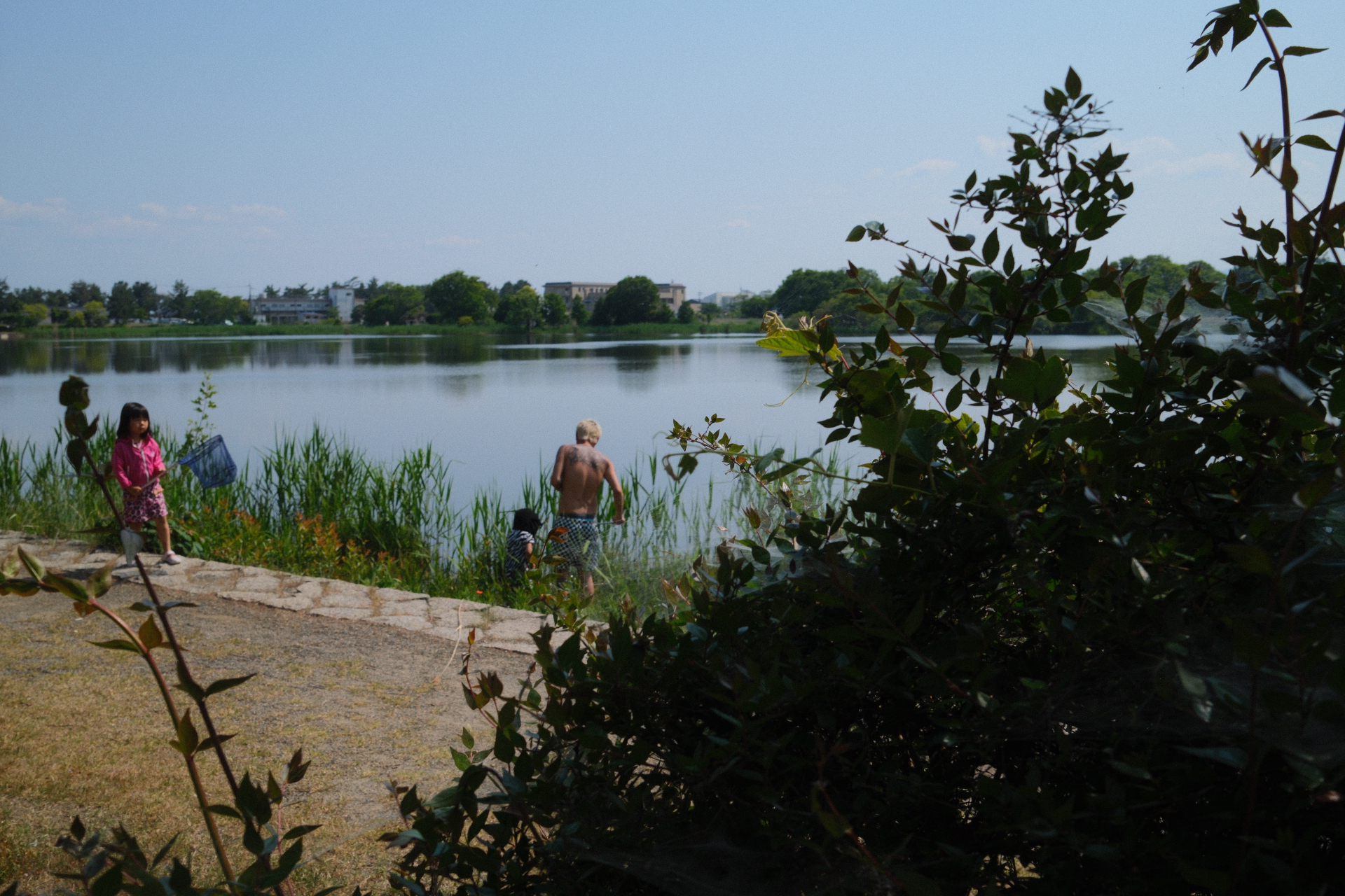 Children and a swimmer at the reedy edge of a pond