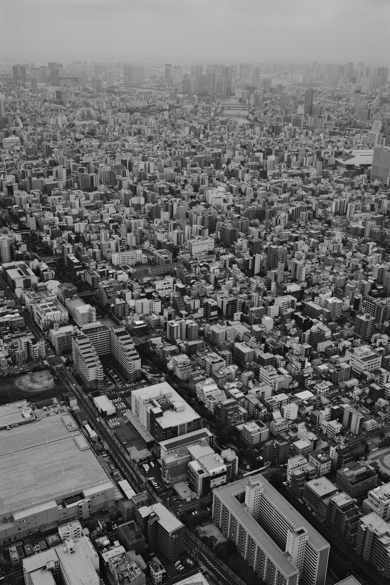 Aerial monochrome view of Tokyo, layered rooftops fading into haze